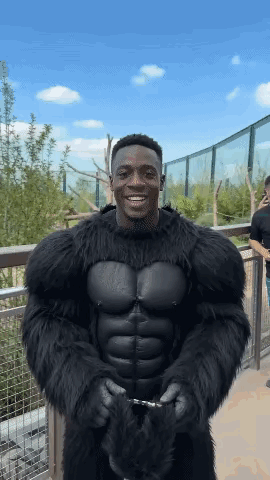 大猩猩: 这是个什么玩意 