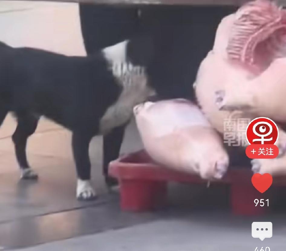 湖北孝感某超市内搬运工，违规操作装卸超市鲜肉品时，把肉品卸放在托盘上没有做好卫生