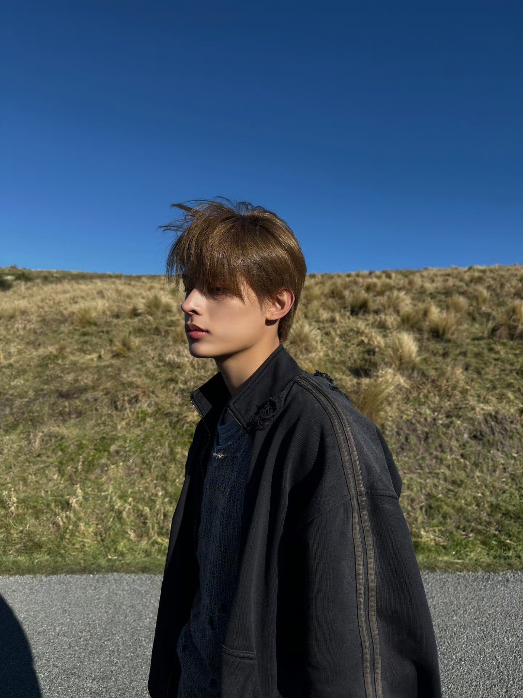 🦅 “你不觉得冬天有点儿凄凉吗？”“确实凄凉，但正是这份凄凉，才使得阳光尤其珍