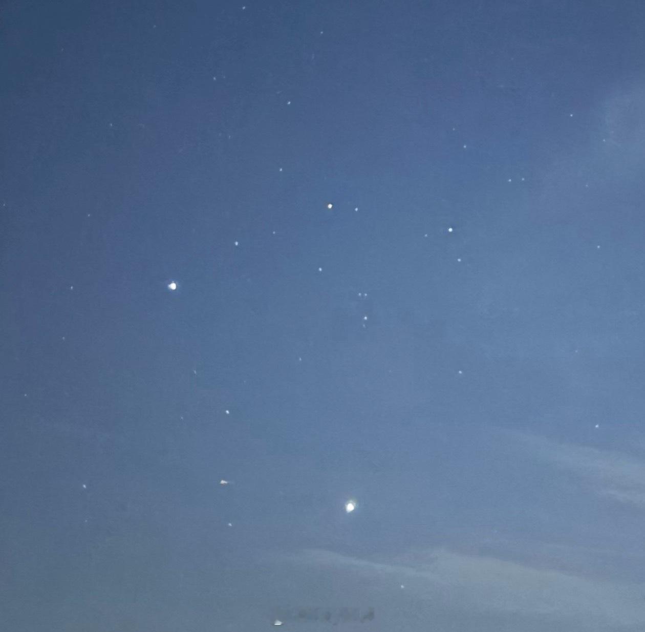狗爪星星 