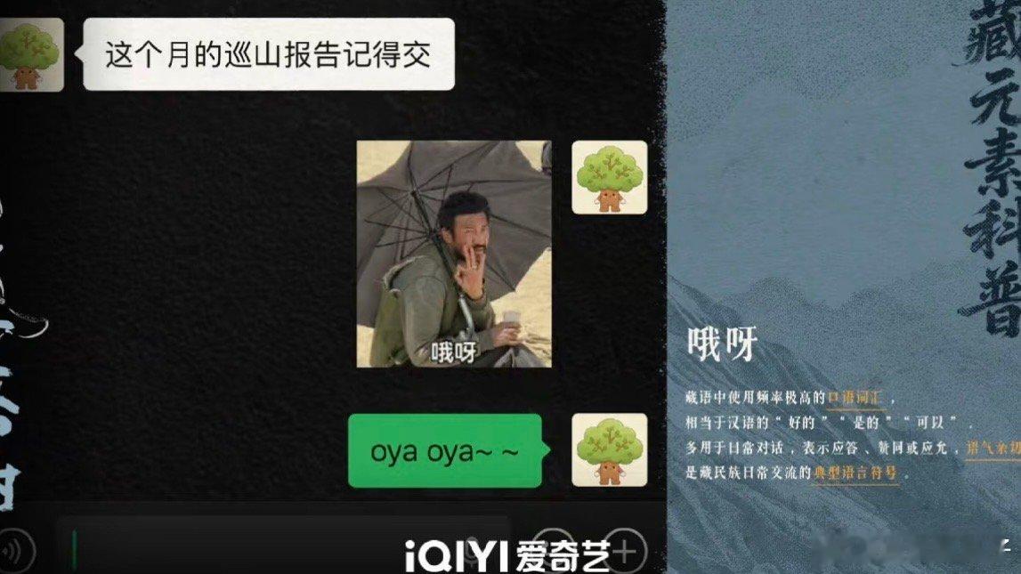 生命树熟人局！杨紫不用有压力