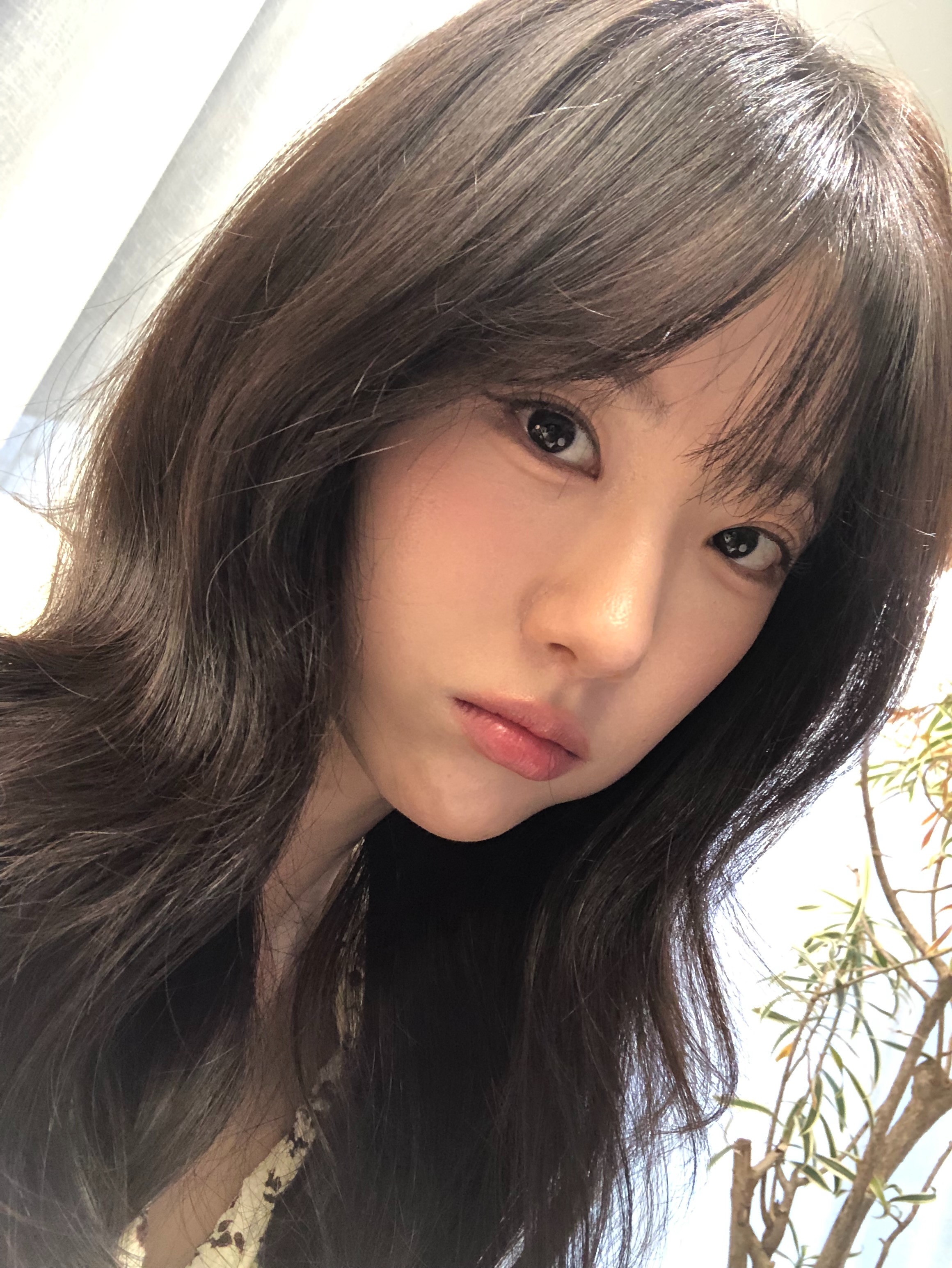 LUDA ins更新 