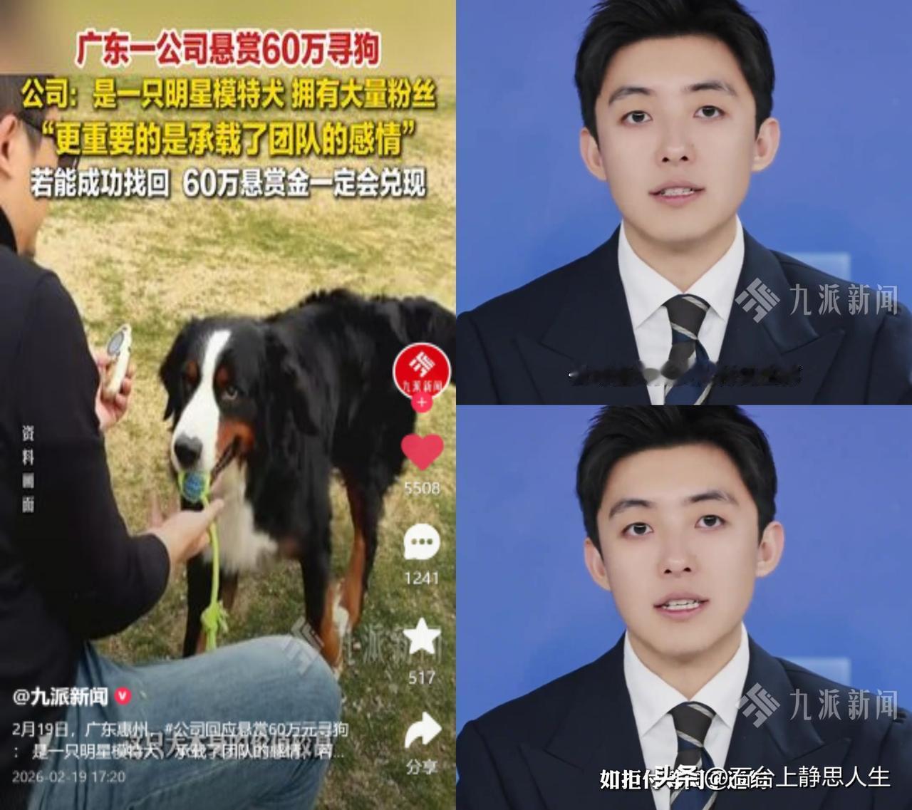 60万寻狗，真心还是套路？

惠州有家刚成立半年的宠物科技公司，说养了四年多