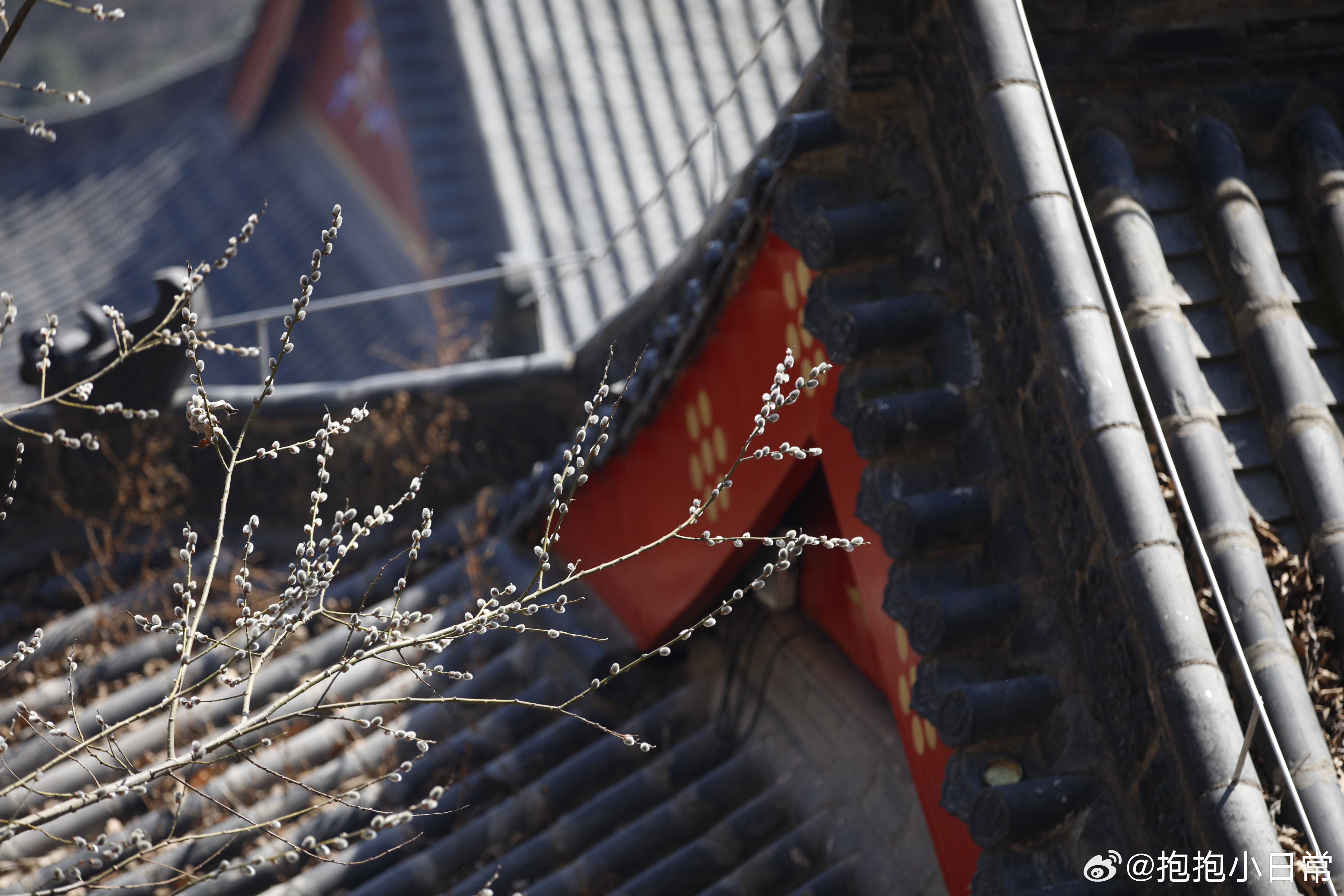 清明小长假收官日，必须来铁刹山沾沾福气。告别城市喧嚣，走进山林之间，看春景舒展，