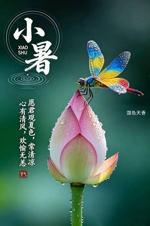  爱不是互相凝望，而是一起朝着同一个方向展望。            ——《小王