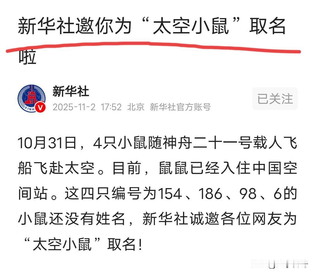 我也给上太空的四只小老鼠取一个名字。老鼠平时普普通通，现在上太空了，这真是一飞冲