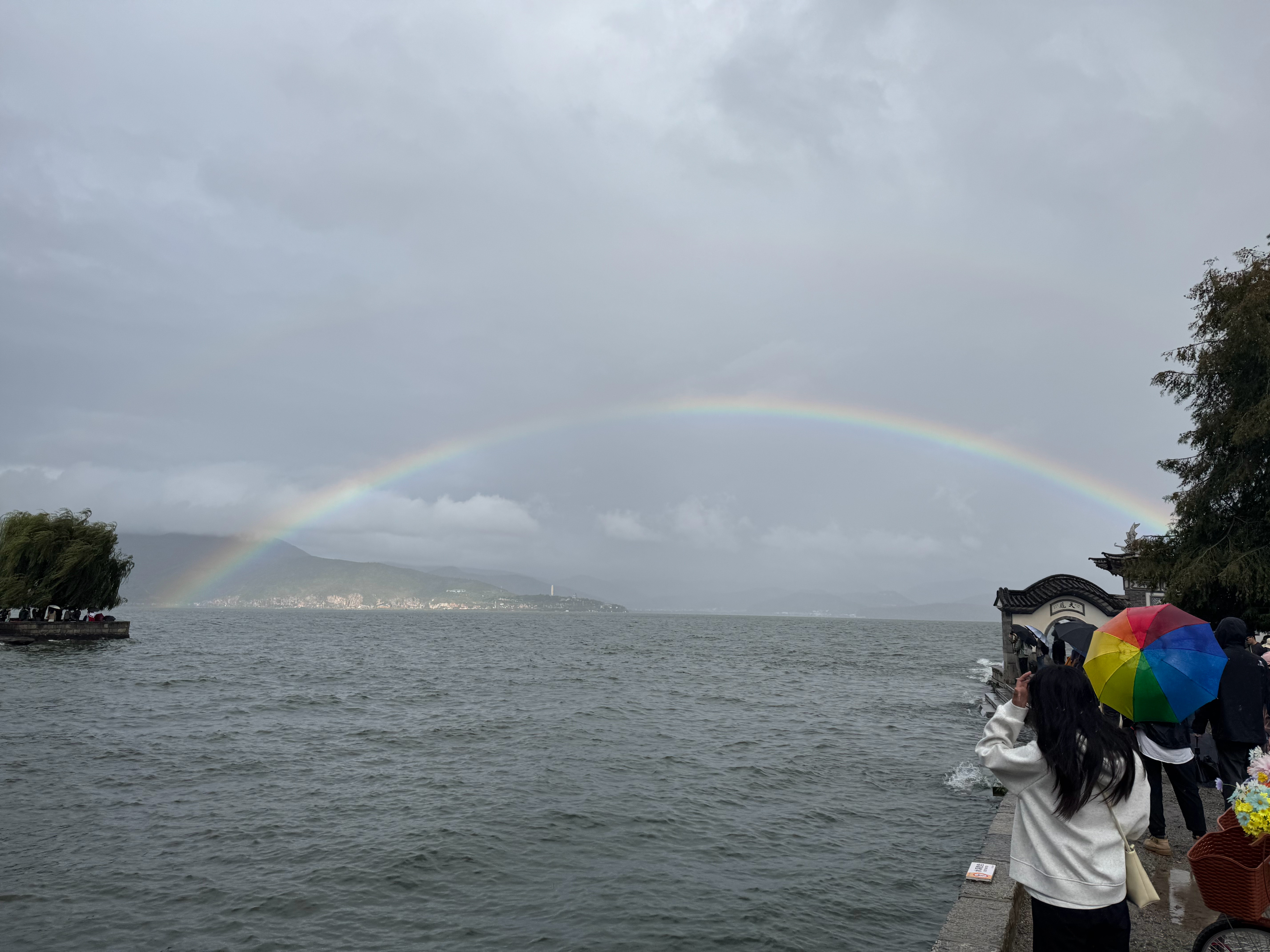 昨天大理一直下雨阴沉沉的，去洱海边逛了下很一般，真的是倒霉蛋子！还好看到了一个很