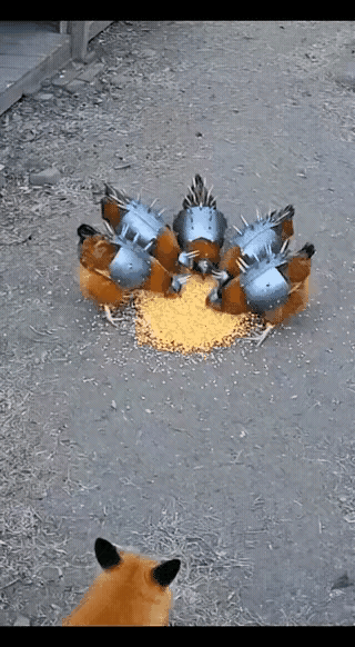 有个这身护甲，再也不怕黄鼠狼了