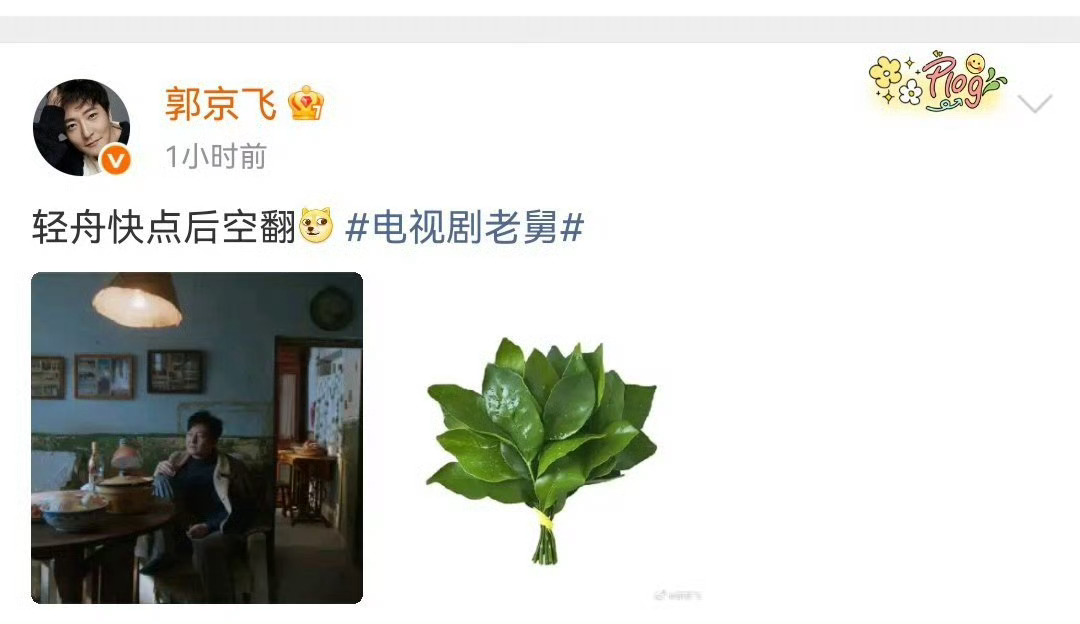 哈哈哈老叔发柚子图 