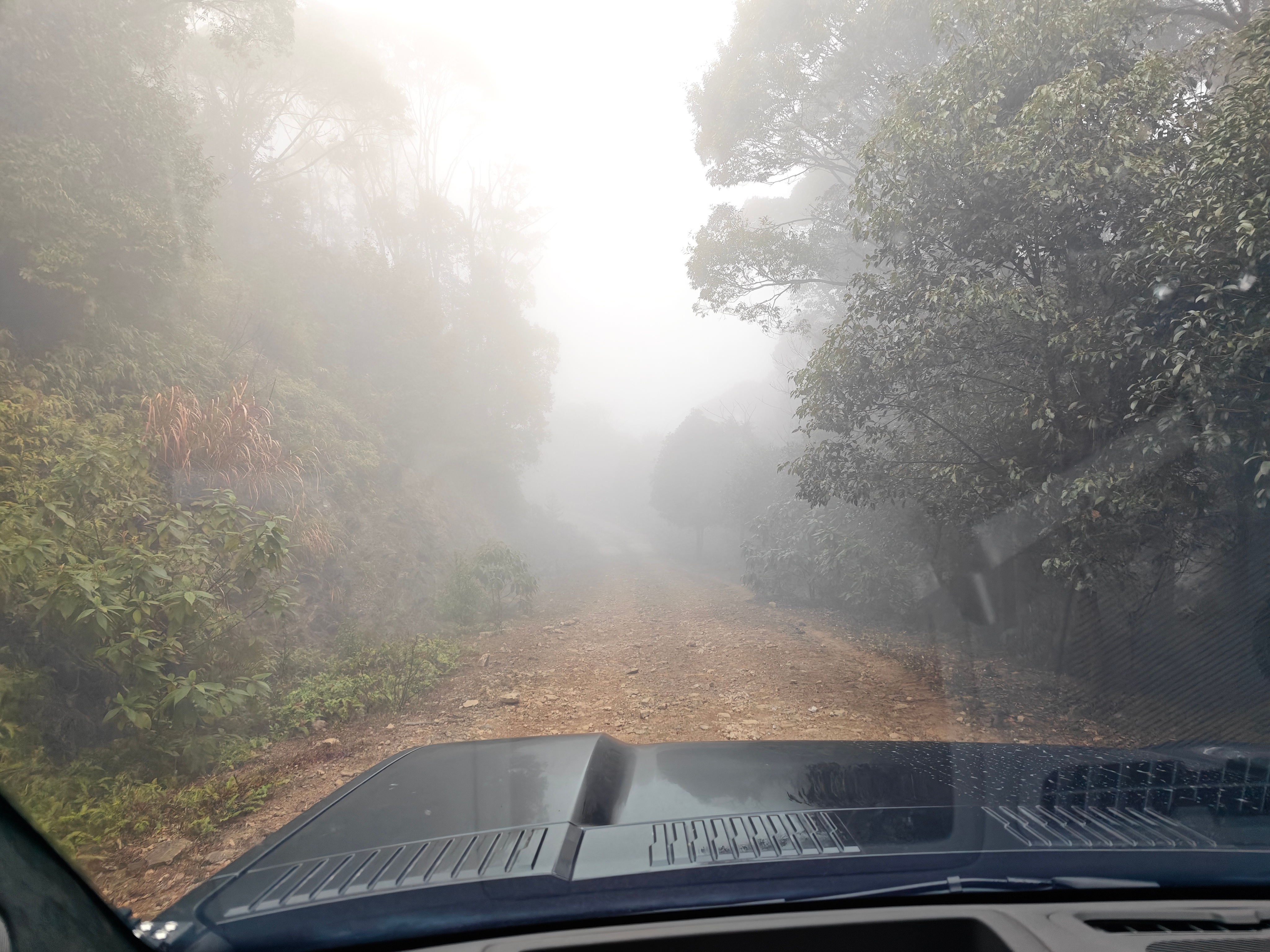 ADS4.1确实激进很多，刚和一个不打灯的在一条路上要硬碰硬把我吓了一跳话说今天