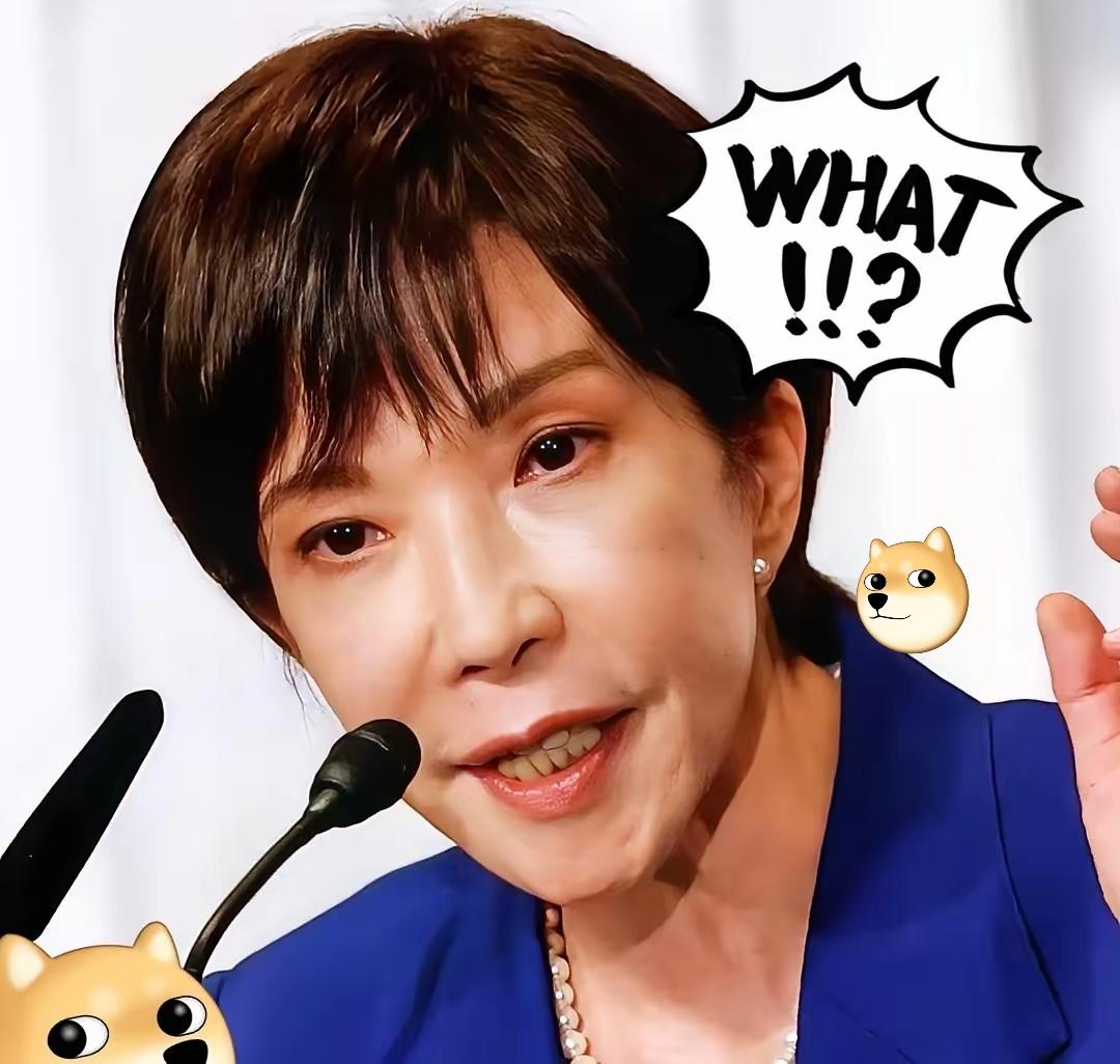 高市早苗G20行程定了！是谈合作还是碰红线，就看这一步
 
高市早苗要赴南非出席