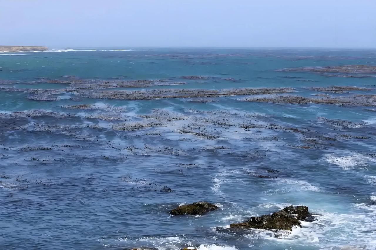 大家好，我是你的历史科普博主，今天带大家走进一段鲜为人知，却影响深远的历史事件—