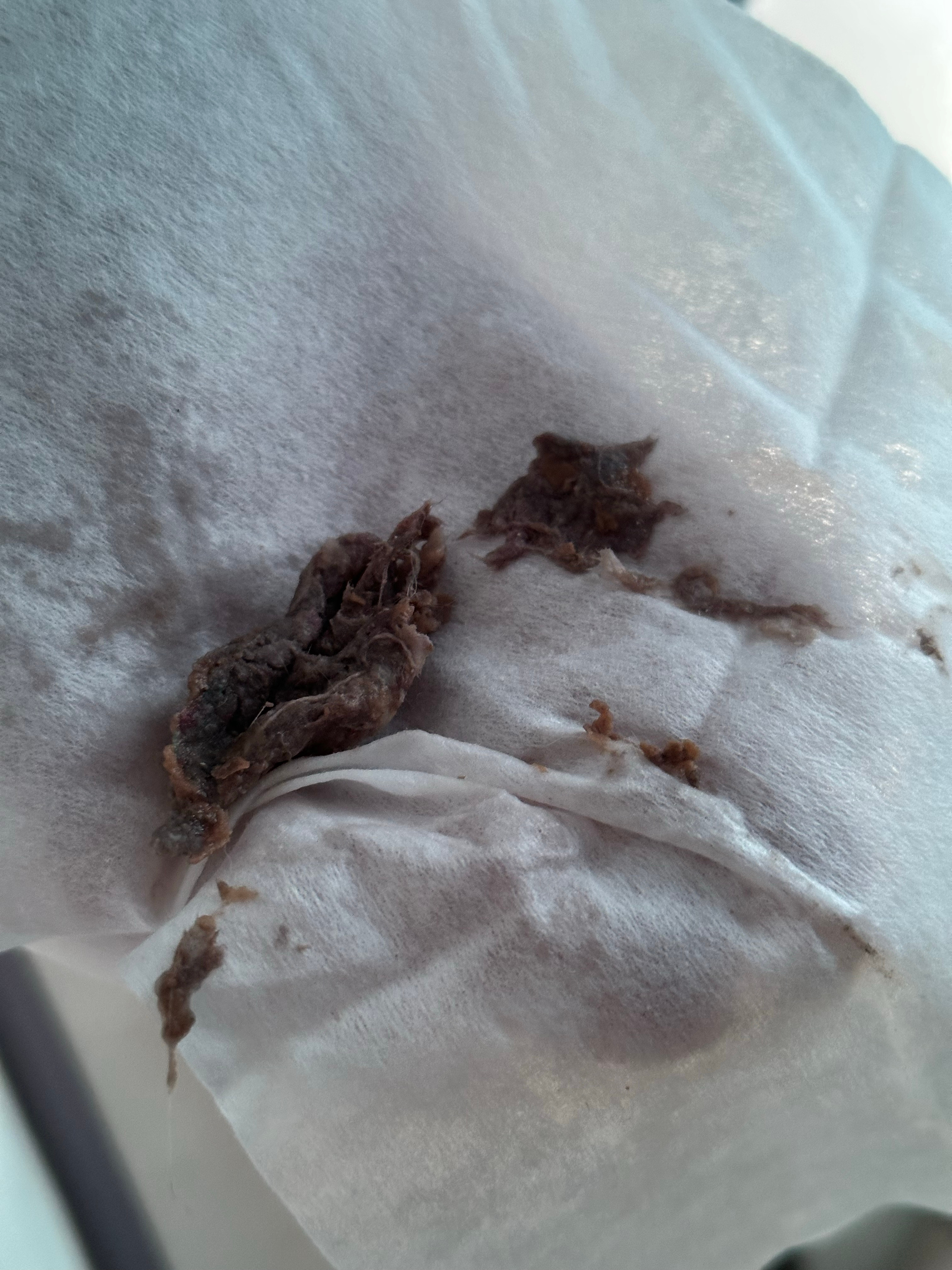 前两天录开箱刚说洗衣机下水要放一放里面有沙子，今天洗衣机就不好使了，约了师傅上门
