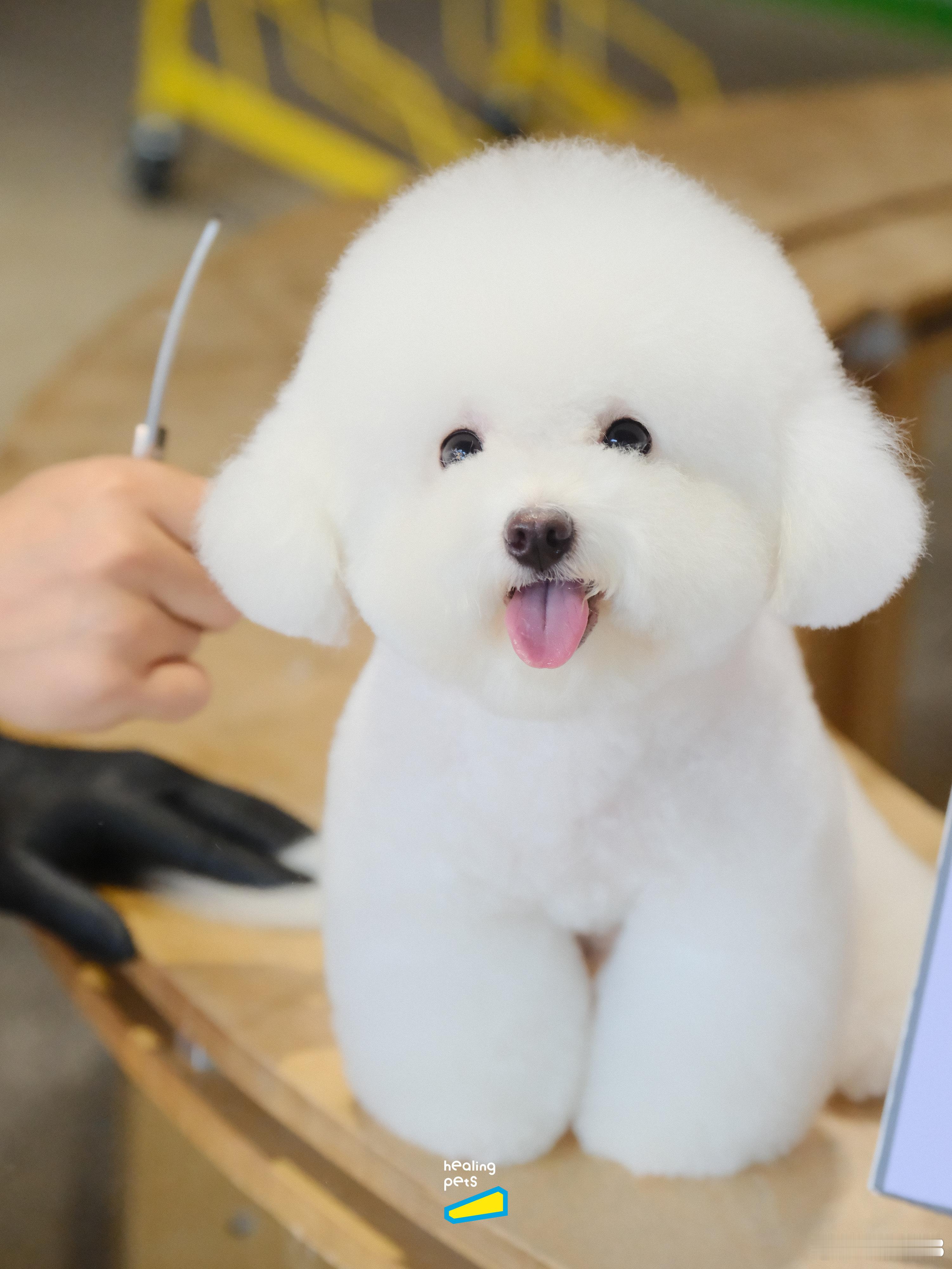 怎么会有如此软萌可爱又乖巧的宝贝[哇]我女儿真的太可爱了！！  ​​​