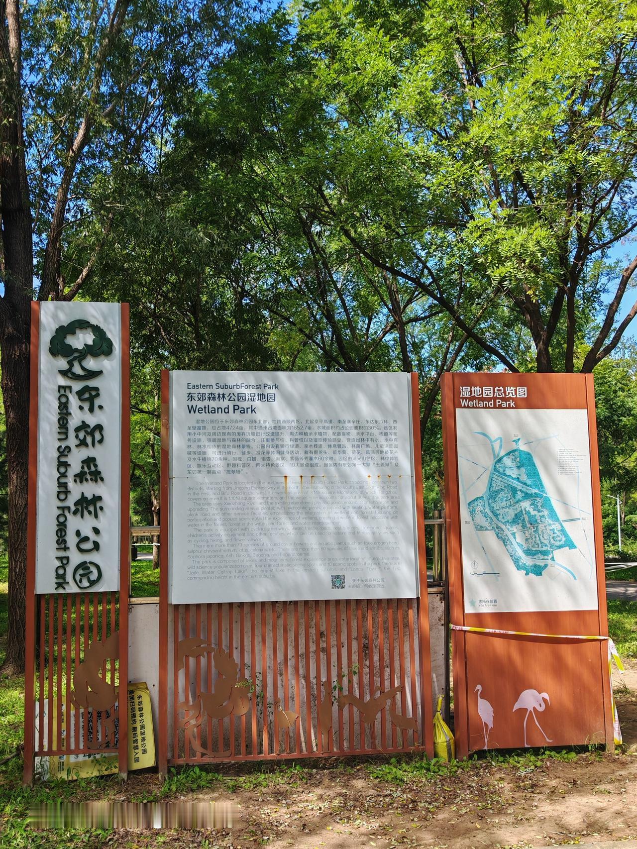 公园，自然之美。北京十大湿地公园之一东郊湿地森林公园