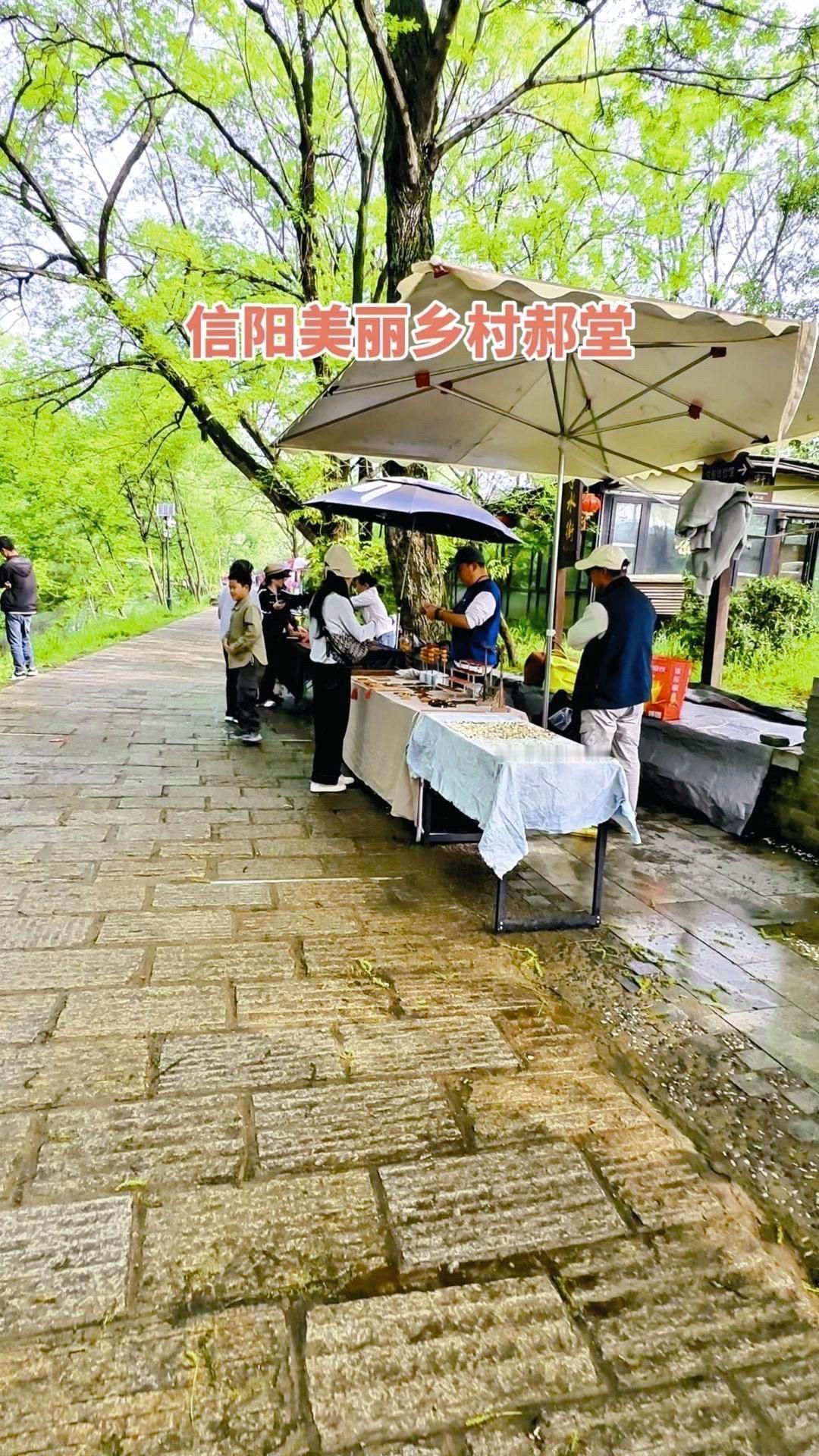 村里的时光像慢镜头，青瓦白墙错落有致，石板路干净得能反光，连屋檐边的绿植都透着诗