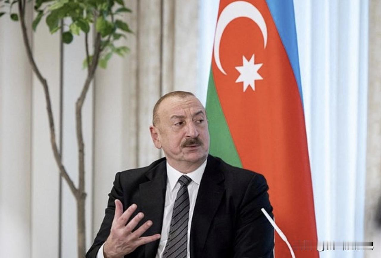 阿塞拜疆总统阿利耶夫签署命令，该国能源部组织发送了这批人道主义物资。援助物资包括