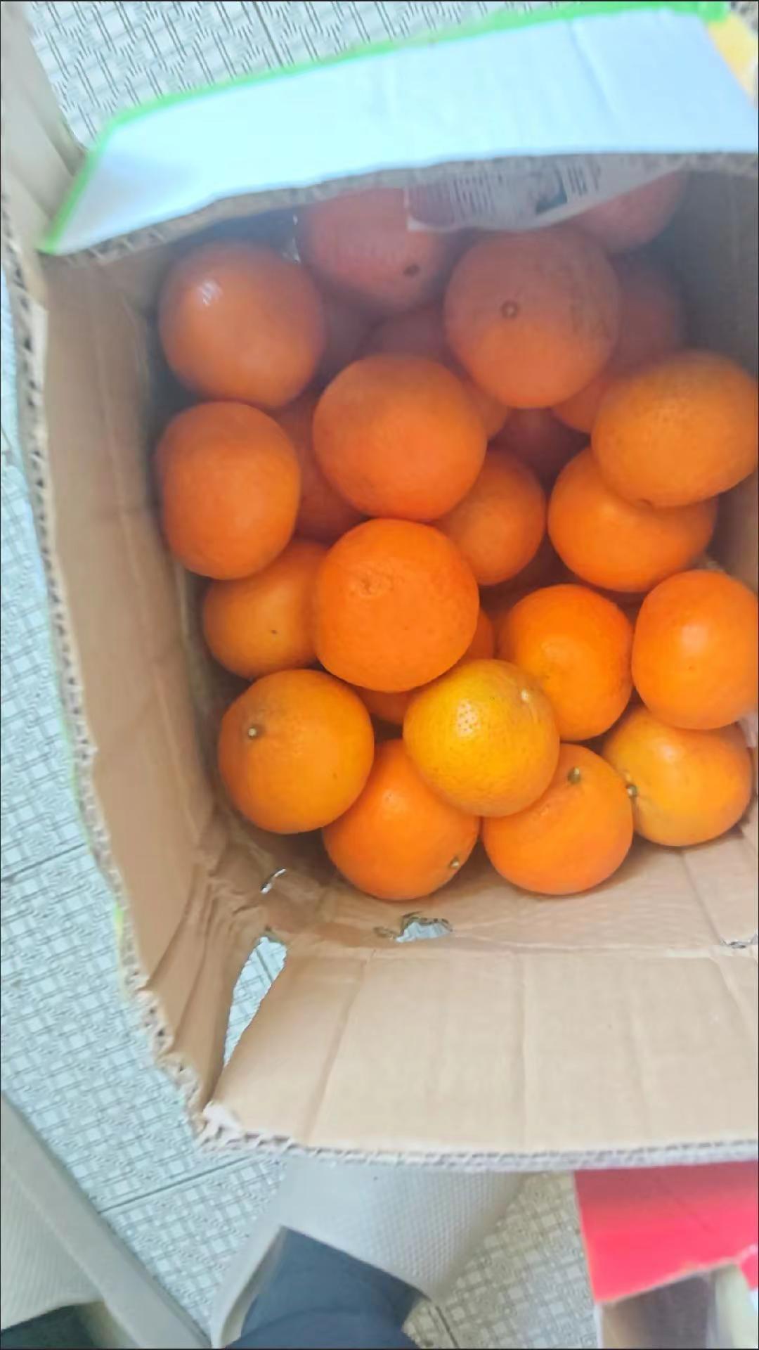 吃喝玩乐分享计划 我为家乡农产品代言 自制家乡土特产 你们有过这样的吃法吗 为家