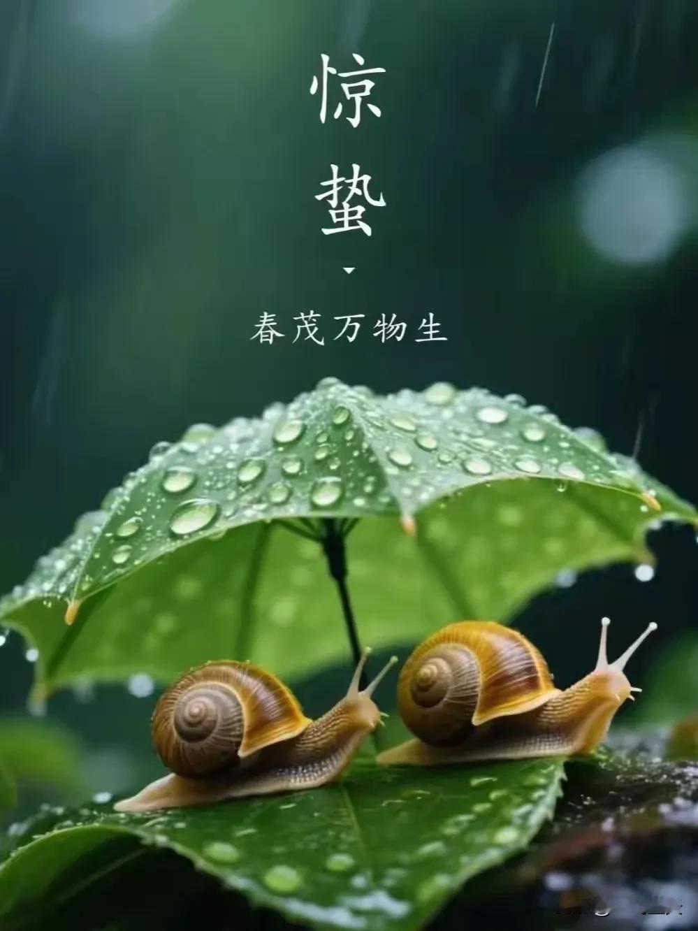 好事近·惊蛰
时至贯新雷，惊破一冬残梦。行处草芽争发，有蛰虫初动。
雨丝风片织帘