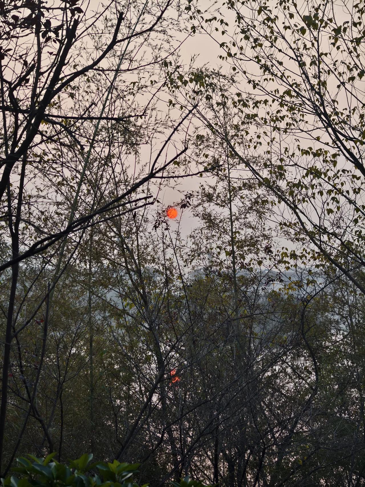 两个太阳
        ——南木子
透过树枝看太阳，
红彤两个皆一样。
水中天