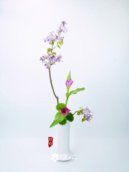 春有约，花不误，岁岁年年不相负。