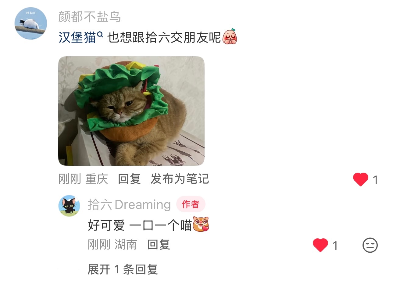 是一个对于新IP都会有自己的独特看法的小朋友呢！谢谢何运晨给了帮粉丝朋友圆梦的机