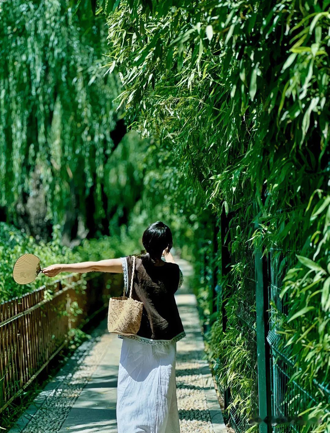 行于秋光，静待风来；秋赠行者，风答流年，秋天自有馈赠，请只管向前！[心]世间许多