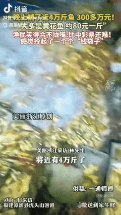 福建兄弟一网下去，海面立马“下金雨”：四船合围，一夜捞了4万斤黄花鱼，按80块一