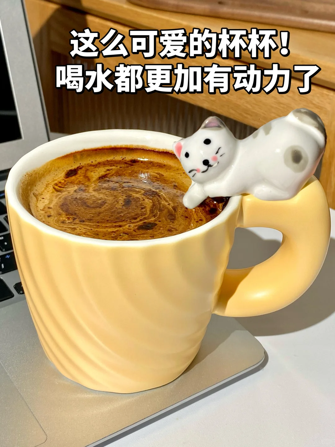 这么可爱的猫猫杯！居然是囤咖啡送的！！