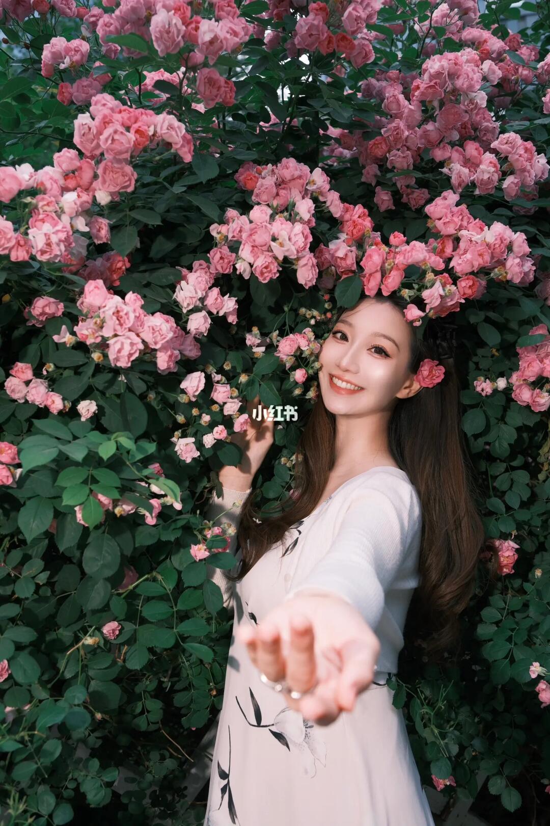 在复兴公园与蔷薇花撞了个满怀💕