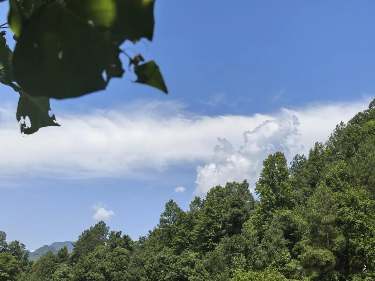 艳阳高照