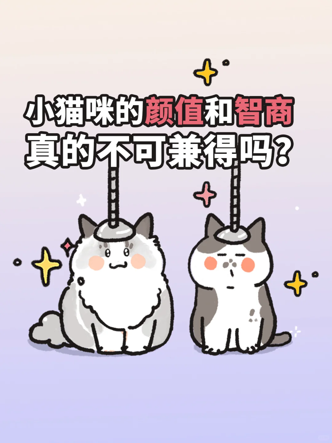 小猫咪的颜值和智商，真的不可兼得吗？