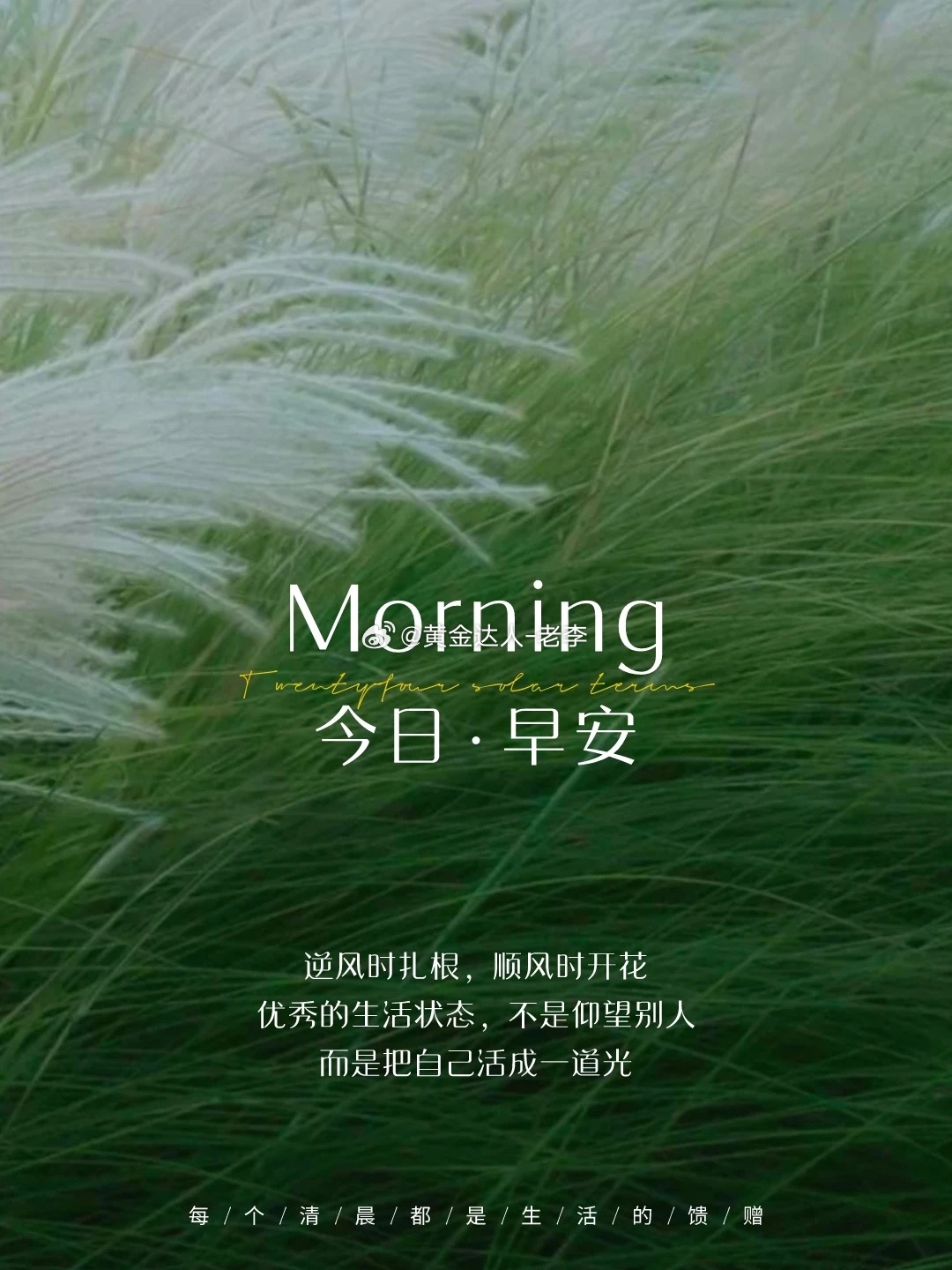 早安。晨光铺开，行情重启。昨夜的盈亏已翻篇，今天的K线等你落笔。带上止损，清空杂