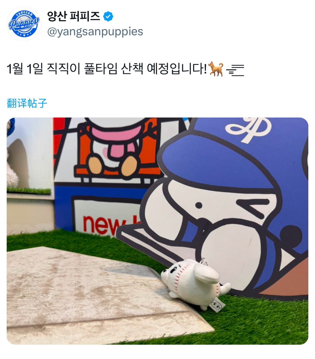 1月1日 직직이 计划进行全职散步！🐕—̳͟͞͞大王jikjik别把自己累坏了