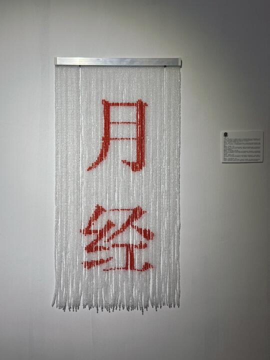 这个展绝了❕月经不是羞耻是勋章