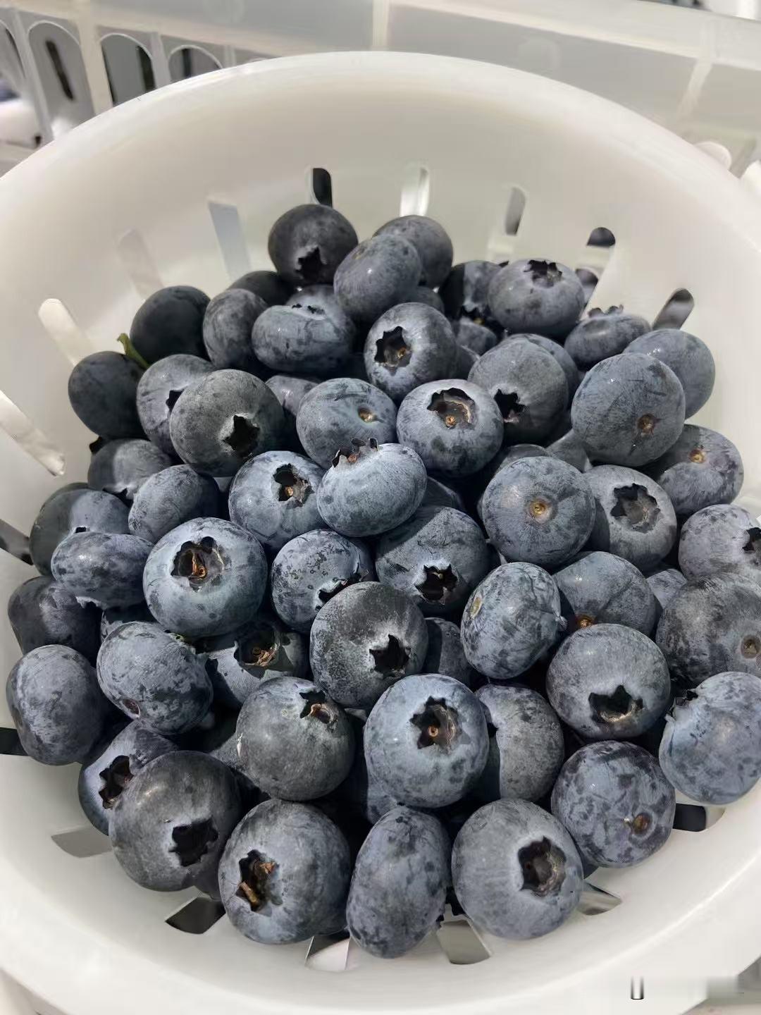 蓝莓，我的最爱，这一口下去的酸甜，简直绝了！
蓝莓富含花青素，对眼睛好得没话说。