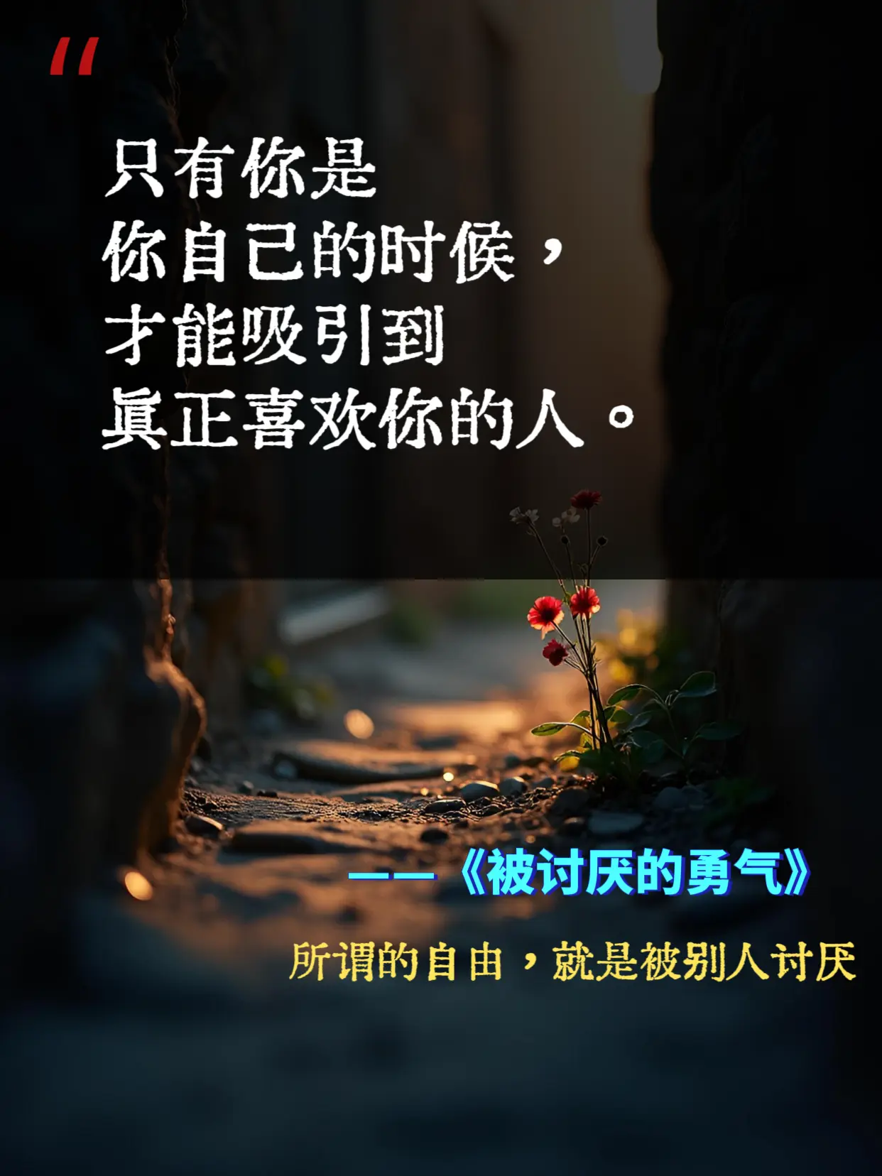 当你不再讨好别人，全世界都会来爱你。希望我们每个人都可以拥有被别人讨厌...