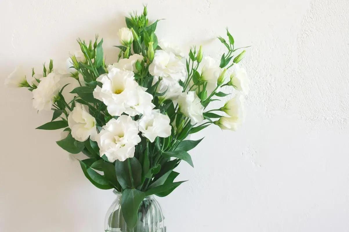 #春日花语#我抽到了「🌸洋桔梗花语卡」🔗戳这里👉快来一起玩春日扭蛋机，送自