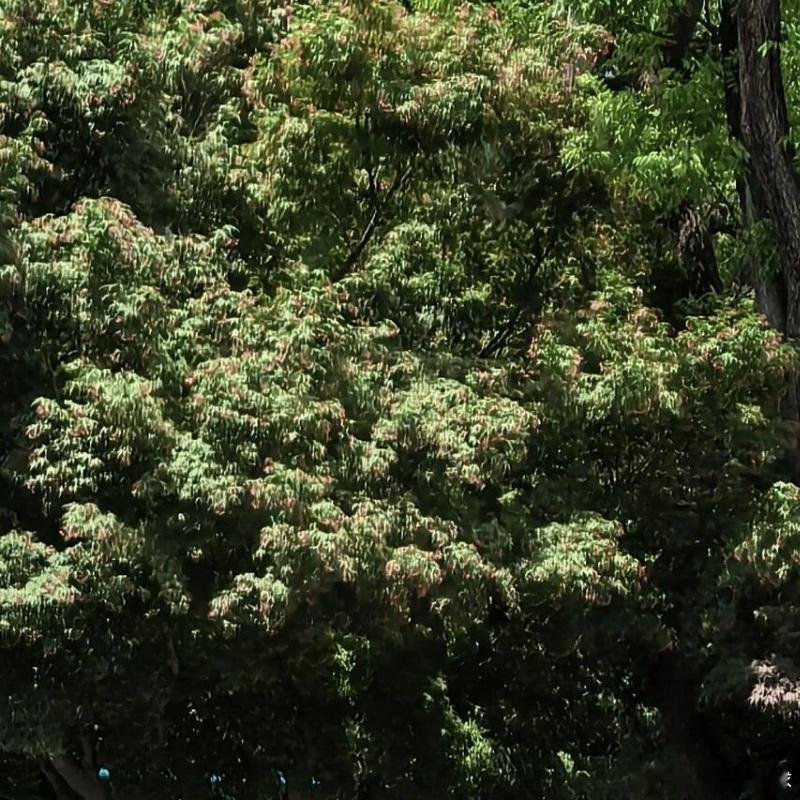 每日一善[超话]  🌿阳光信用每日一善 🌿熊猫守护者[超话] 人生最可贵的两