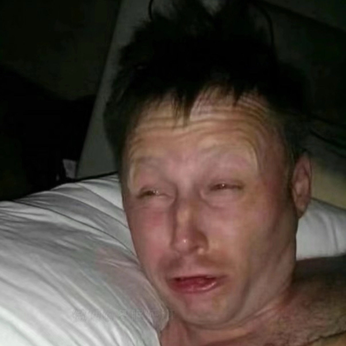 此刻所有被主人莫名其妙薅起来爱抚的🐓：
