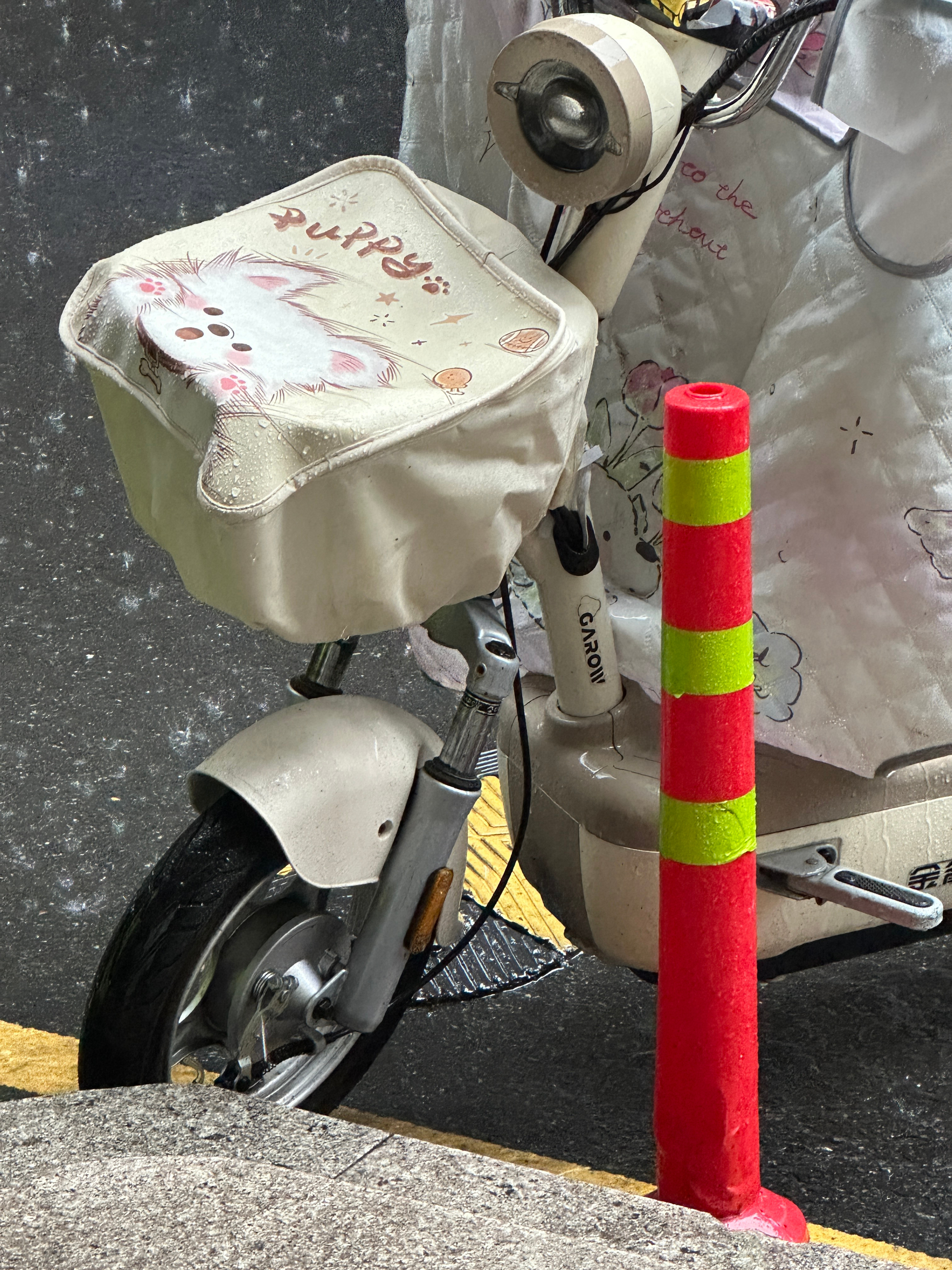 谁想来给我送伞