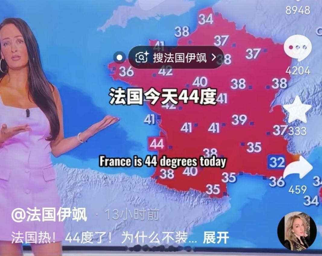 法国卫生部长斯特凡妮·里斯特6月28日接受法国电视一台采访时表示，有大量法国医院