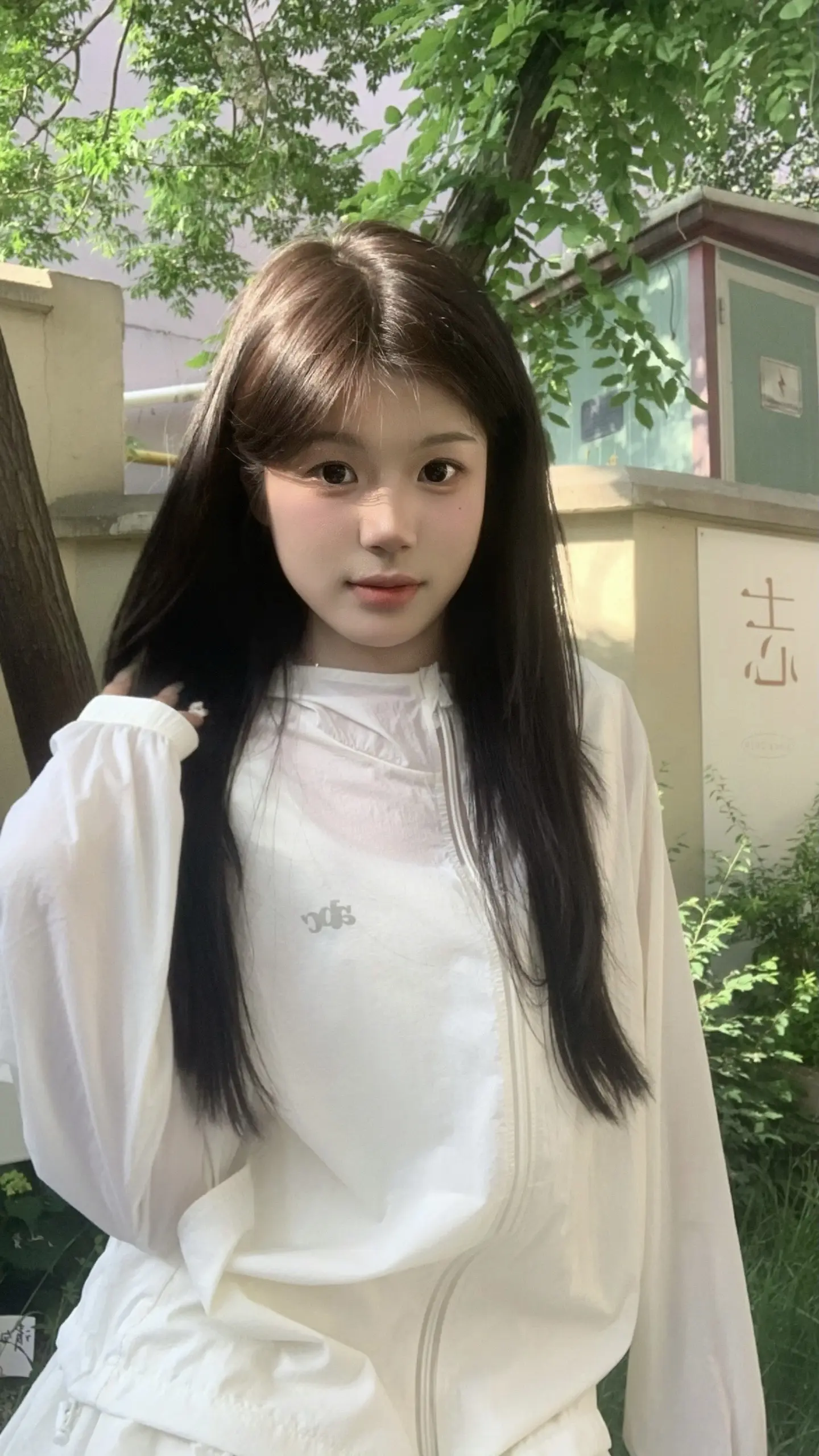 发什么呆 •︠ˍ•︡