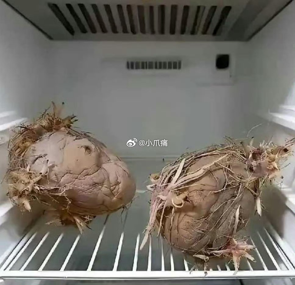 老一辈就是节约，殊不知电费都比他们贵 