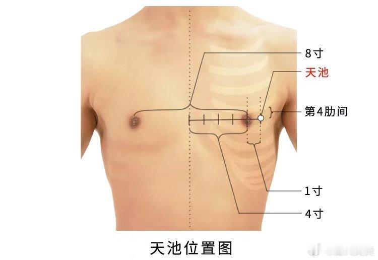  今日分享～天池穴精准取穴：正坐或仰卧，在胸部，当第4肋间隙，乳头外1寸，前正中
