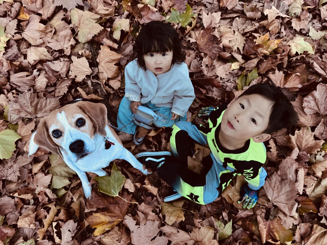 深秋ririro组合🍂
