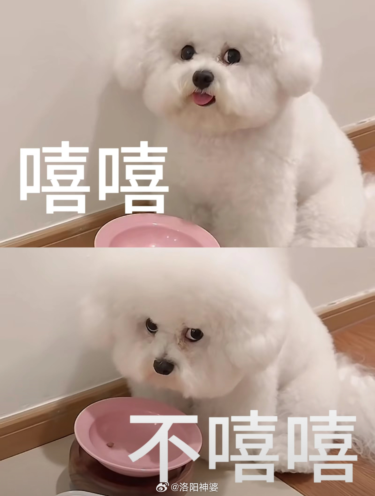 突然觉得带孩子很轻松哪来的错觉