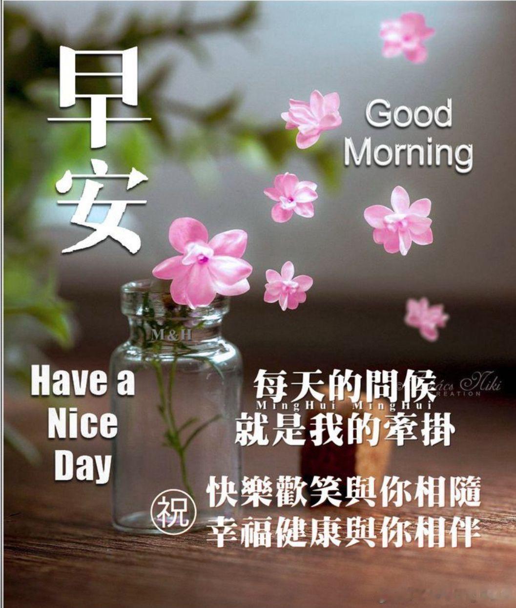 分享图片 