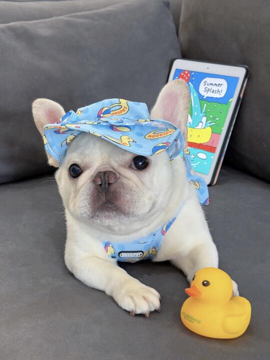 谁能带我去游乐园玩水呀🔫