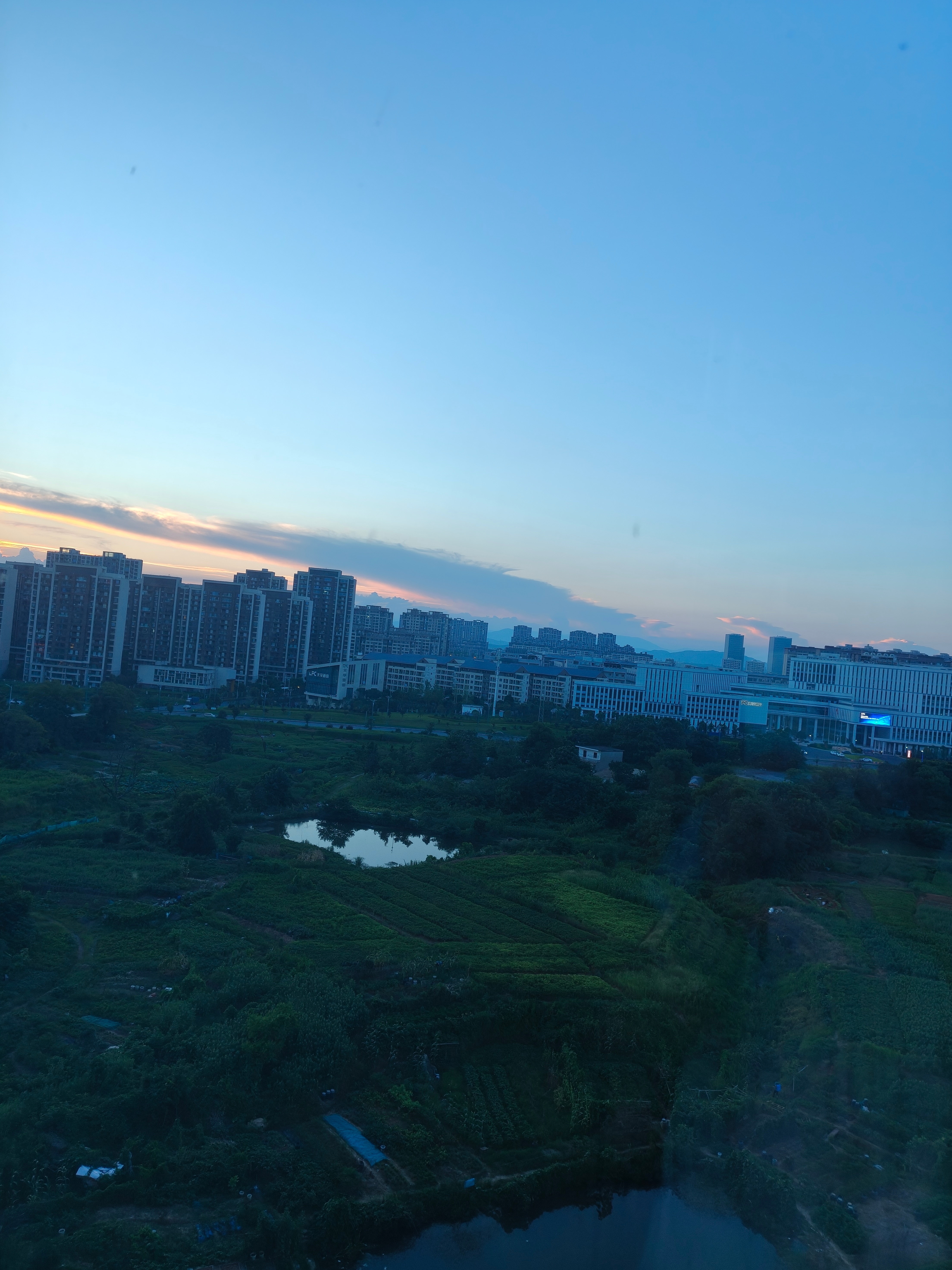 美丽 